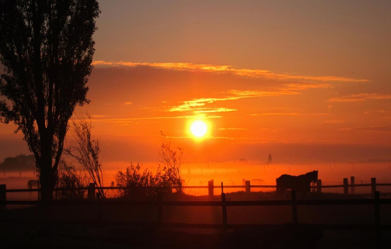 Gastenverblijf 'T Landsheertje Veurne Exteriér fotografie