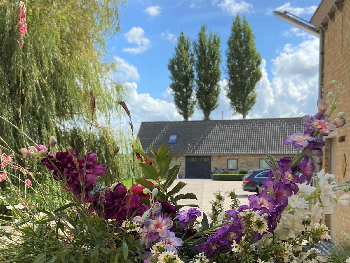 Gastenverblijf 'T Landsheertje Veurne Exteriér fotografie
